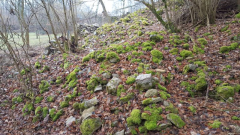 Steinriegel