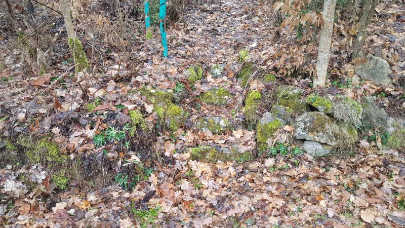 Waldmauertreppe