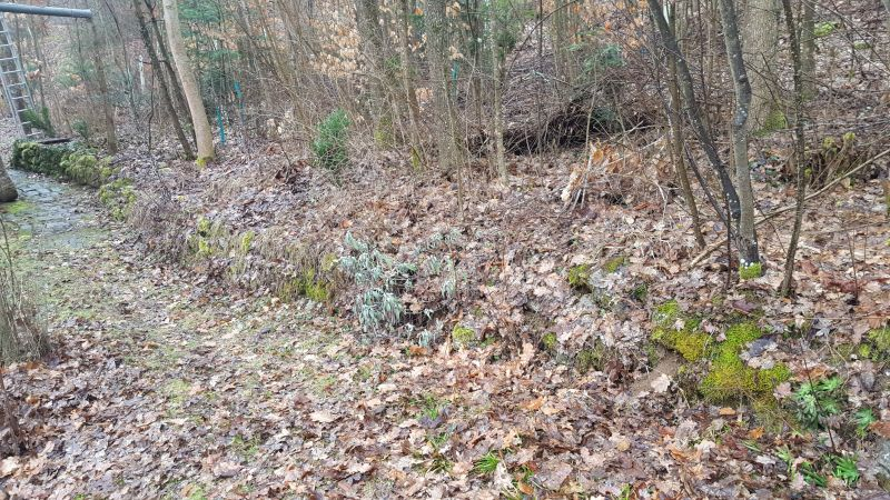 Waldmauer, linker Teil