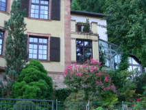 2013-08-28 Ziegelhäuser Landstr. 67 3
