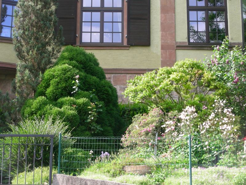 2014-04-29 Ziegelhäuser Landstr. 67 2