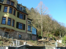 2019-03-20 Ziegelhäuser Landstr. 67 3