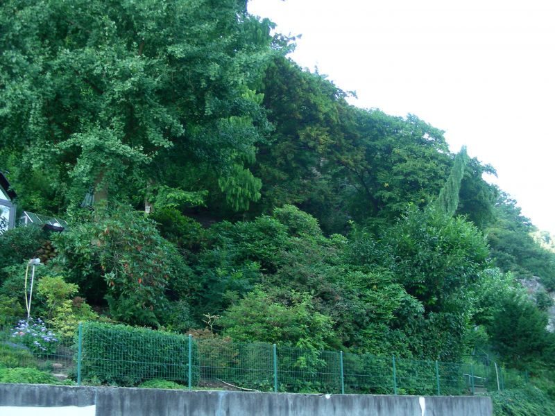2013-08-28 Ziegelhäuser Landstr. 67 5