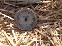 49° C