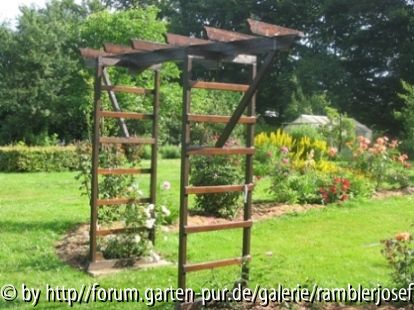 Wessen Handschrift tägt der Rosenbogen