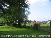 Lindenallee
