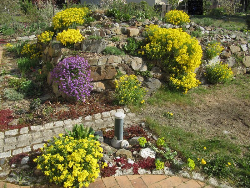 Steingarten_20April2019