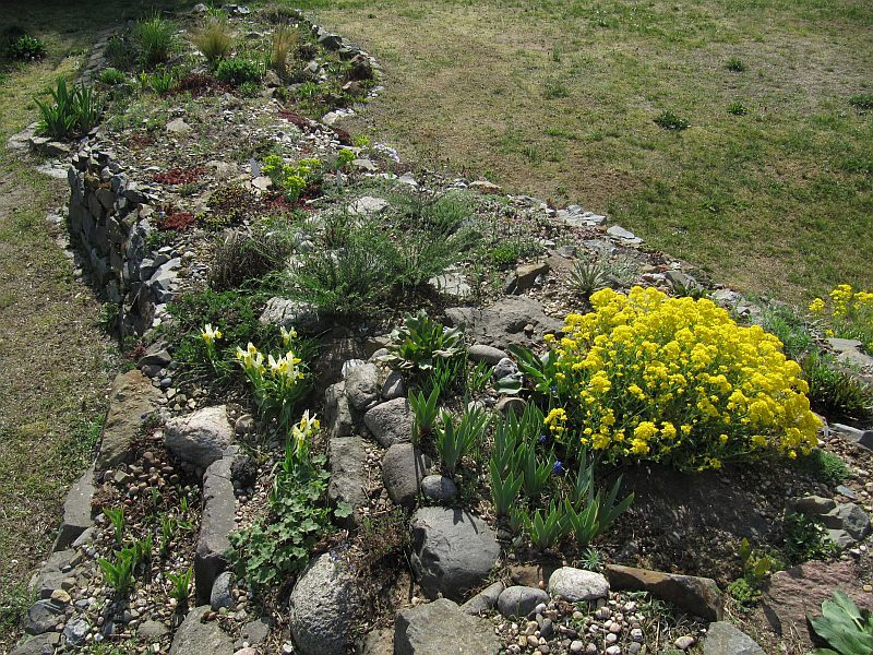 Steingarten-oben_20April2019