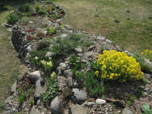 Steingarten-oben_20April2019