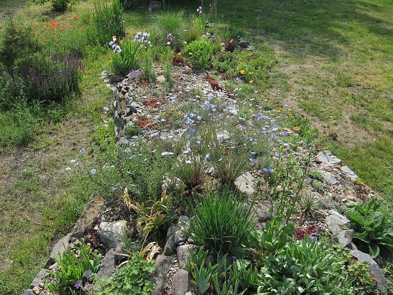 Auf dem Steingarten 1. Juni 2019