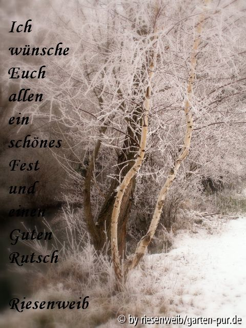 Weihnachtswünsche 2006