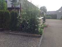 Habe bei der 4-er Box Links und rechts Liguster