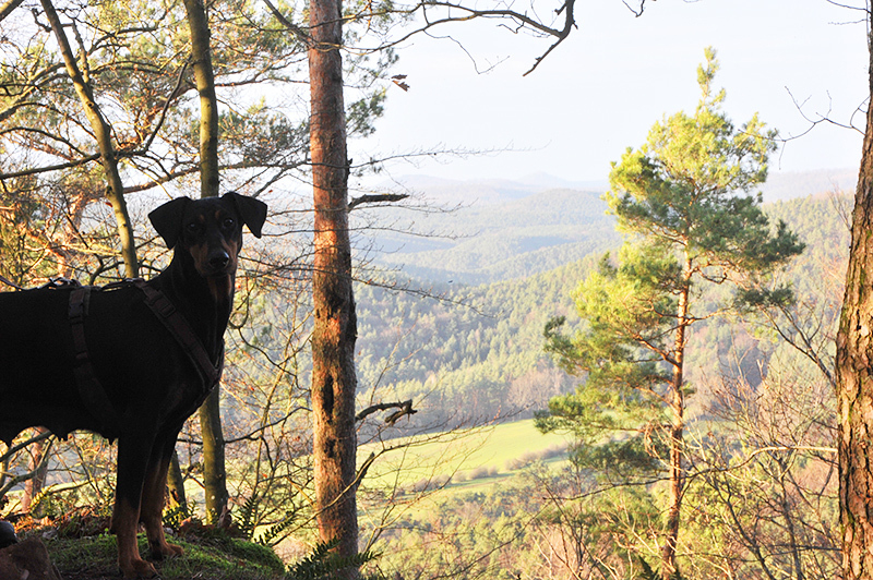 Wanderung