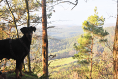 Wanderung