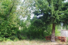 vorher waldecke