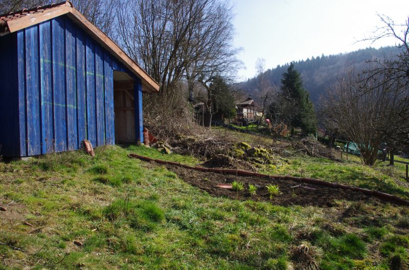 hecke schuppen