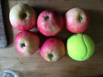 von unten und Groesse