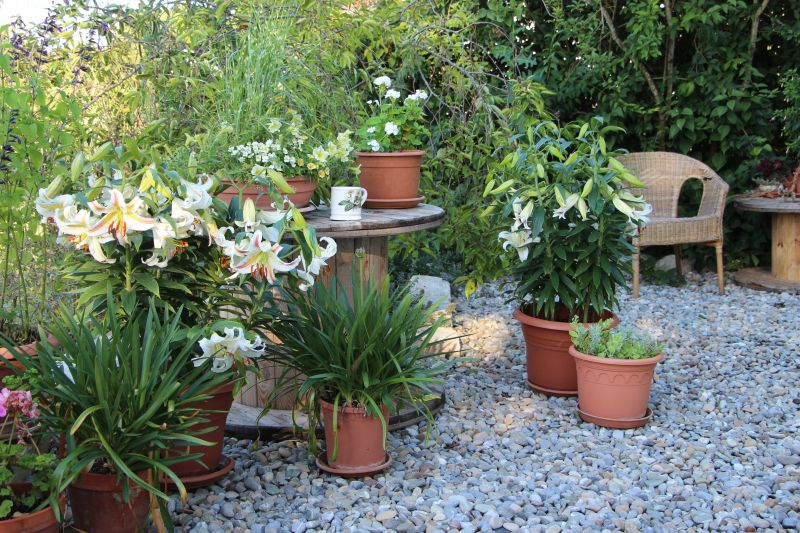 'Garden Party' auf der Terrasse