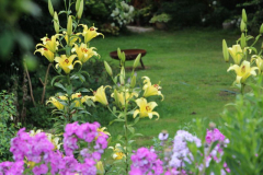 Lilien und Phlox