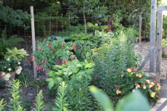 TopfgartenNord