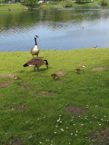 Familie