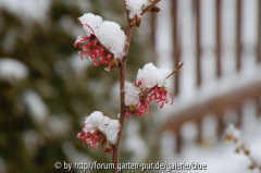 DSC_3845_resize.JPG