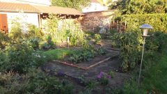 Bauerngarten im September 2020