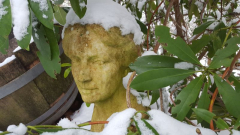 Frauenkopf - Skulptur von Hengstenberg Winter 2021