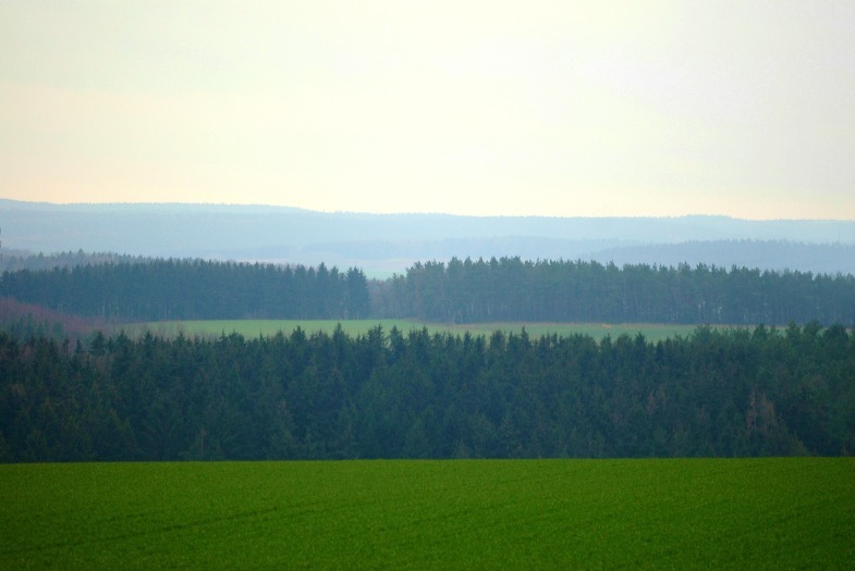 Feld und Wald 1
