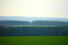 Feld und Wald 1