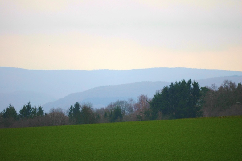 Feld und Wald 3