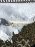 WinterreifenProfil  ;)