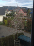 Ausblick zumTagesbeginn
