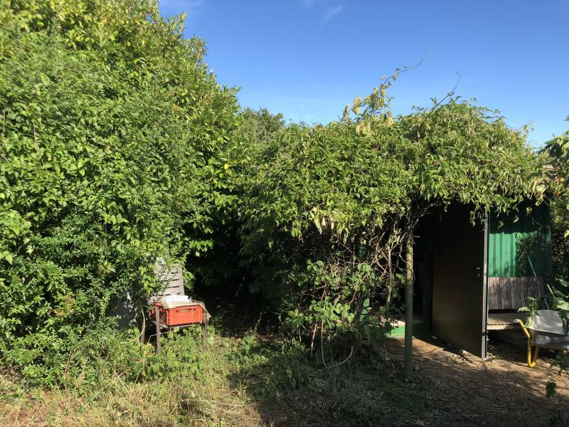 Die Gartenhütte