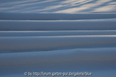 DSC_3932_resize.JPG