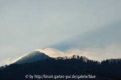 DSC_4003_resize.JPG