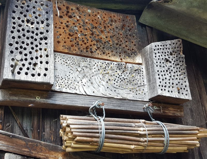 Alte Nisthilfen aus Holz und Bambus
