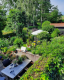 Blick vom Balkon1