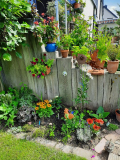 Eins der neuen Beete