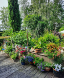 Terrasse im Juli