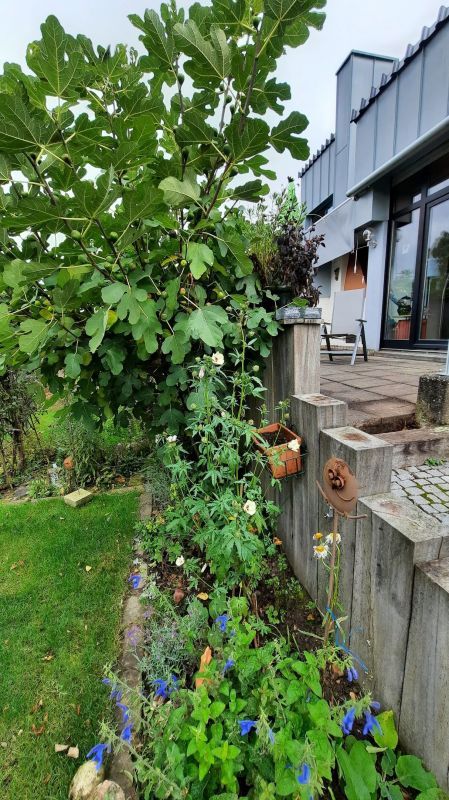 Beet vor der Stützwand
