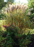 Herbst 21 Malepartus