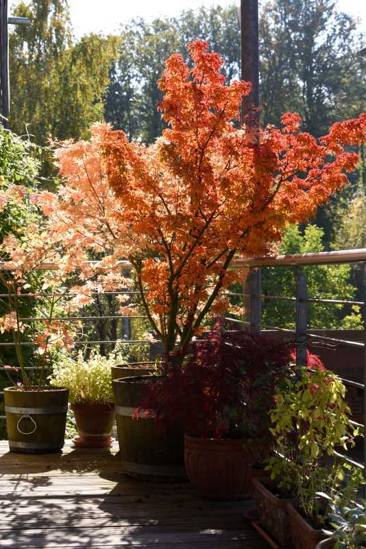 Herbst 21 Empfangskomitee