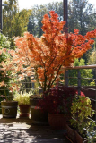 Herbst 21 Empfangskomitee
