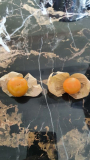 Beas Dicke/Deep Orange