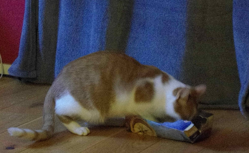 ist da was drin?
