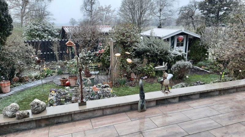 Aussicht auf Schnee