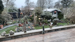Aussicht auf Schnee