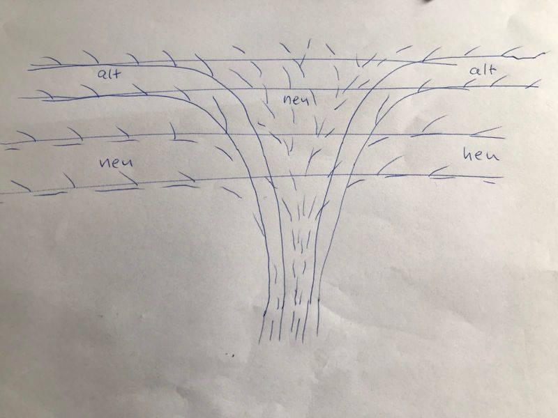 Summer WIne Schema