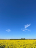Aprilhimmel